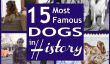 15 chiens les plus célèbres de l'histoire - de Bo à Lassie!