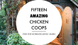 Fly La Coop!  Quinze Coops de poulet incroyable pour le Homesteader In Your Life