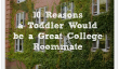 10 raisons d'un enfant en bas âge serait un grand Collège Colocation