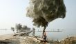 Arbres cocon dans les toiles d'araignée Après des inondations au Pakistan [Doit Voir]
