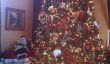 Real Housewives du New Jersey: Comment ils décorent pour un Noël en famille!  (Photos)