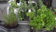 Herb décoration - les 11 meilleures idées de bricolage