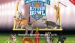 Kitten Bowl 2015 Date: 92 chatons jouer avec Mini Ballons car elles sont confrontées Pointeurs Laser et autres distractions