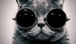 Les preuves photographiques que les chats portant des lunettes ne vieillit jamais