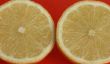 Électricité à partir de fruits - Instructions pour une batterie de citron