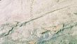 Cal Orcko: Un mur de 300 pieds avec plus de 5000 empreintes de dinosaures
