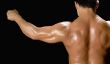 Plus de muscle par l'alimentation en protéines?  - Renseignements sur les athlètes