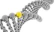ADN et l'ADN - les différences clairement expliquées