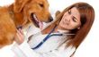 Pour la vaccination des chiens comparer le prix - sachant à propos de frais de vétérinaire