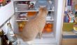 Réfrigérateur perd de l'eau - que faire?