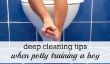 Apprentissage de la propreté Astuce: Toilettes nettoyage en profondeur