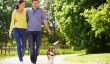 Règles de la promenade de chien - informations utiles pour les propriétaires de chiens