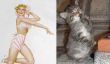 15 chats qui ressemblent modèles Pin-Up