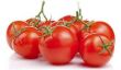 Cyanide - toxines dans la tomate & Co