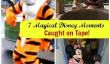 7 Super Sweet Moments Disneyland Caught on Tape!  (Vidéo)