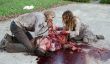 AMC "The Walking Dead" Saison 5 spoilers de l'épisode: Beloved Caractère tué en mi-saison Finale