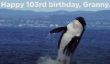 "Science" de SeaWorld Sur Orcas est désactivée par 70 ans et voici pourquoi