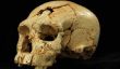 Neaderthal ADN et les gènes vs Man: anciens fossiles révèlent un autre lien avec Neandertal ancêtres