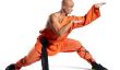 Plan de formation de Shaolin - informatif