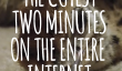 Le plus mignon Deux Minutes sur Internet Tout Vedettes bébé autruche [Vidéo]