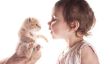 Poils de chat et le bébé - ce qui devrait être conscient