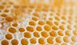 La cire d'abeille - un guide pour les bougies en nid d'abeille