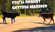 12 raisons pour vous regretterez Se marier
