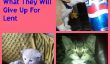 12 chiots et les chatons nous disent ce qu'ils vont Give Up pour le Carême (Photos)