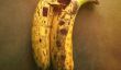 Vous voyez une peau de banane, cet artiste d'Instagram voit des possibilités infinies