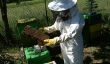 Les apiculteurs avec le magazine - dont on entend par