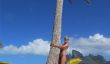 Heidi Klum topless Pic sur la plage de Bora Bora Posté sur Instagram