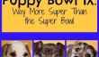 Puppy Bowl IX: Way Plus de Super que le Super Bowl