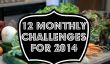 12 Défis mensuels pour réduire les dépenses et le stress