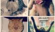 10 chats qui méritent des excuses
