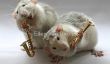 Musiciens de rat Adorable par Ellen van Deelen