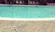 Conseils pour l'été Soins capillaires à la piscine