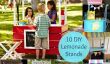 10 Stands Summer Fun bricolage Lemonade