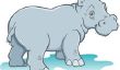 L'hippopotame dans les montagnes russes - Instructions