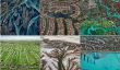 Ed Burtynsky Photos aérienne de aquatique Paysage
