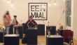 Eenmaal: le restaurant pour Diners simples