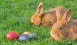Pliez lapin de Pâques - comment cela fonctionne avec des chiffons