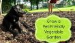 Comment cultiver un potager Pet-Friendly