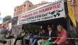 Colombie: Toreros Aller grève de la faim pour protester contre l'interdiction