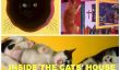 La Maison des chats: Un Accueil DIY'd humain consacré à la vie avec des chats