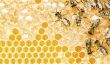 Miel de apiculteurs - En savoir pour les acheteurs