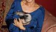 Holly Madison montre ses Growing bosse de bébé!  (Photos)