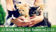 10 La plupart des Wacky Cat Noms de 2013