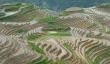 Belles images de rizières en terrasses