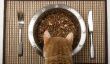 Ouvrez la viande mélangeur Bowl pour chats - vous devriez noter
