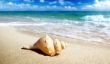 Remède contre les puces de sable - éviter les piqûres et soulager les démangeaisons